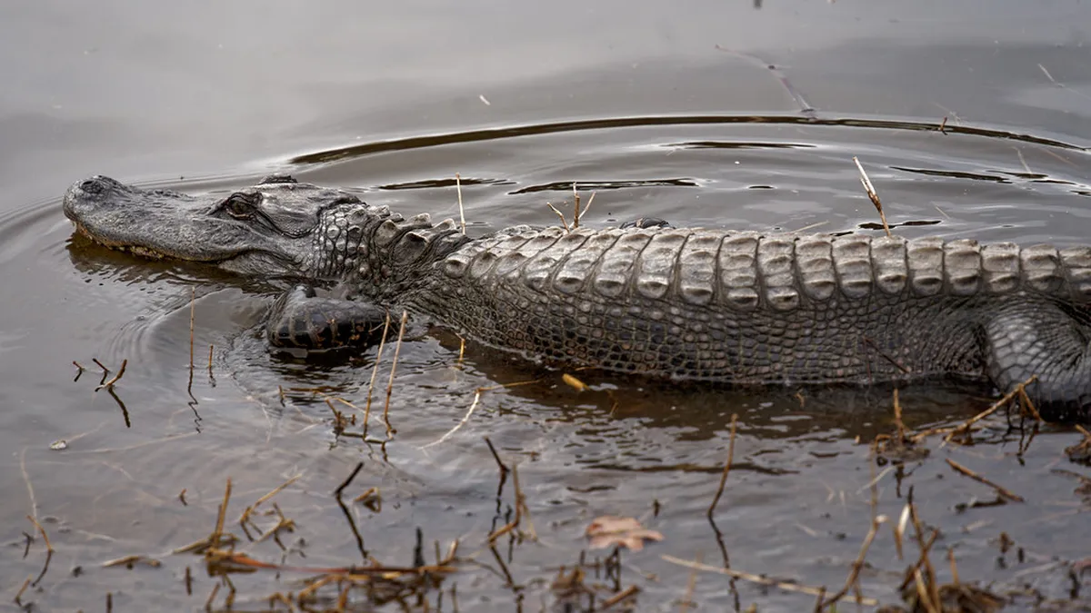 Best Family Friendly Hotels in Aalborg Denmark 2026