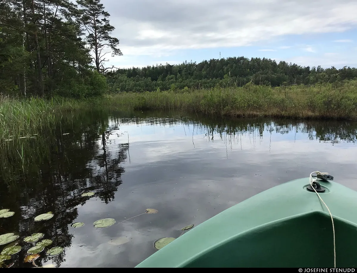 Rent Electric Boats on Aalborg Limfjord in 2026
