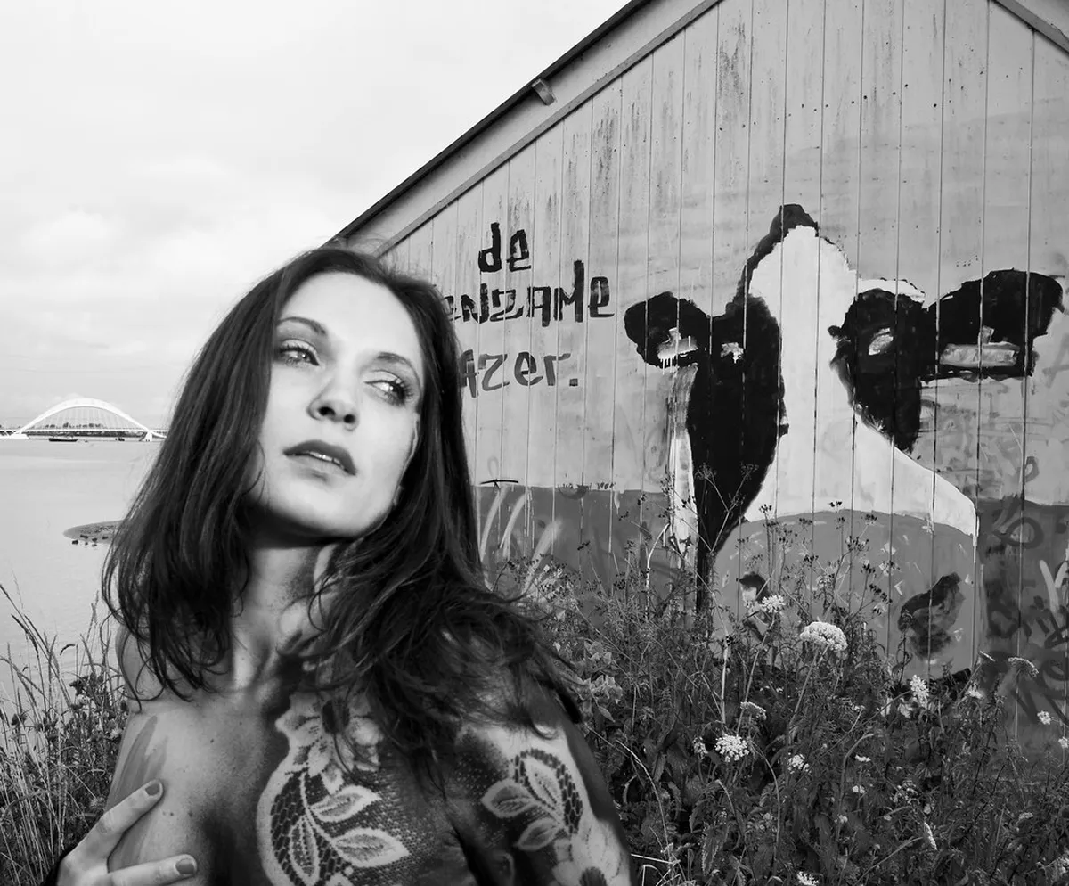 Best New Hotels in Aalborg 2026: Compare Top Stays