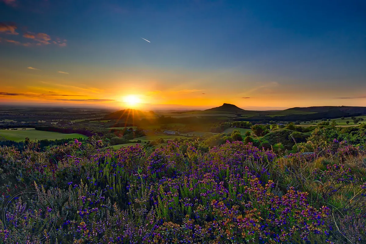 Helsingør 2026 Travel Guide: Kronborg Castle, Culture & Dining