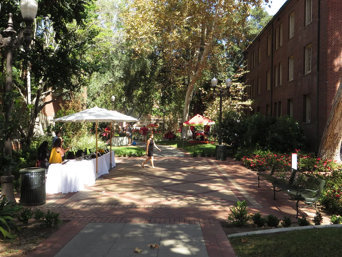 2026 Cultural Yard Events in Helsingør: A Guide