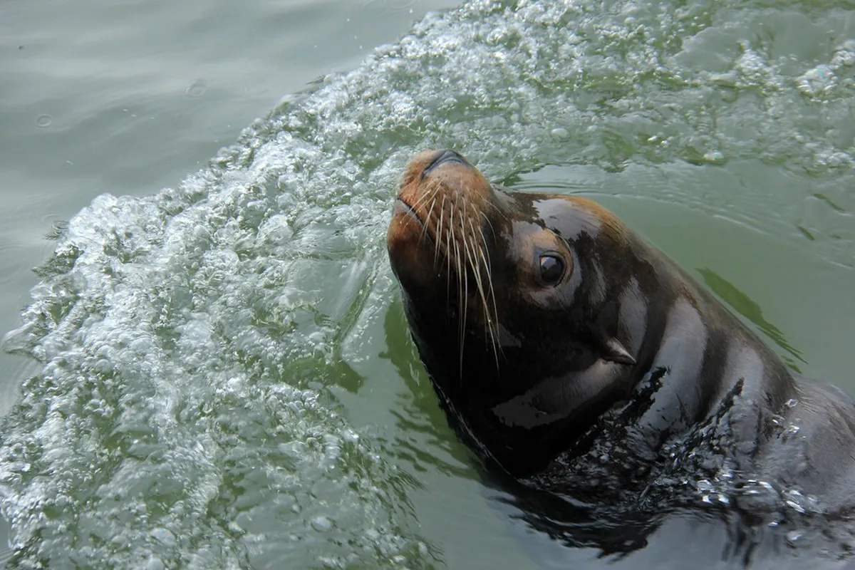 Interactive Playgrounds for Kids in Skagen 2026