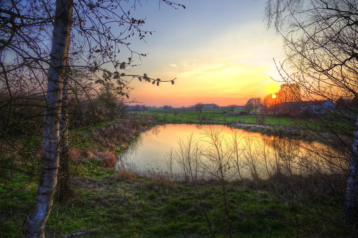 Best New Fjord Tours from Ålesund 2026