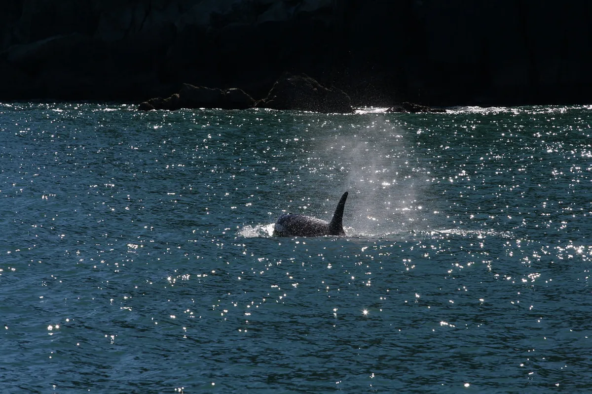 Norway 2026 Guide: Best of Ålesund and Bergen Travel Updates