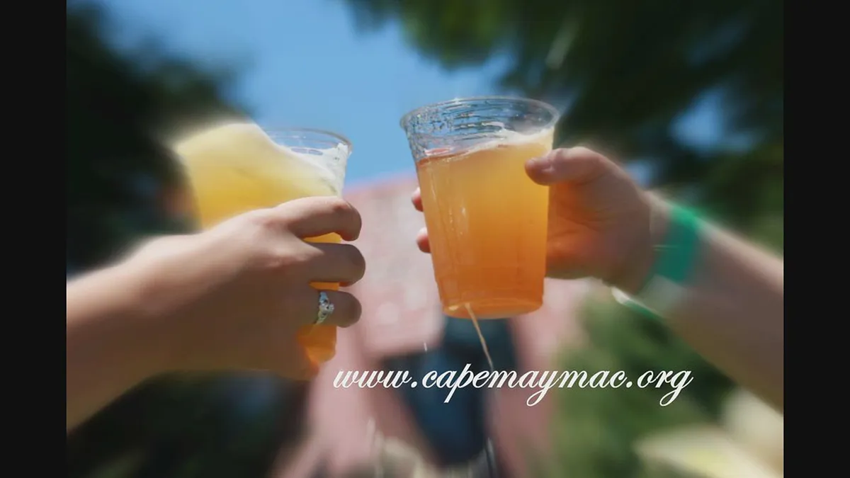 New Restaurants in Bodø 2026: A Foodie Guide