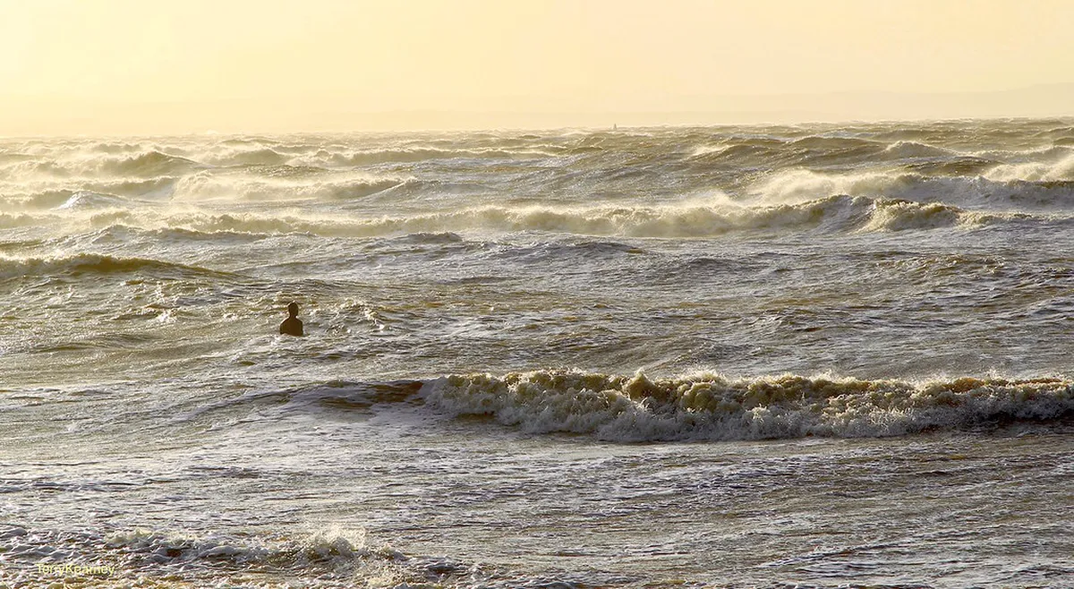 New Museum Exhibits Stavanger 2026: A Full Guide