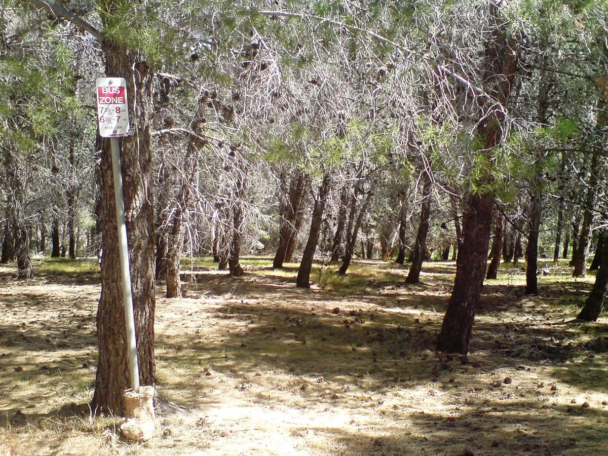 Sustainable Transport in Tromsø: 2026 Eco-Guide