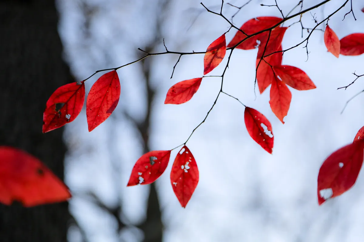 New Hiking Trails Near Aveiro: 2026 Guide