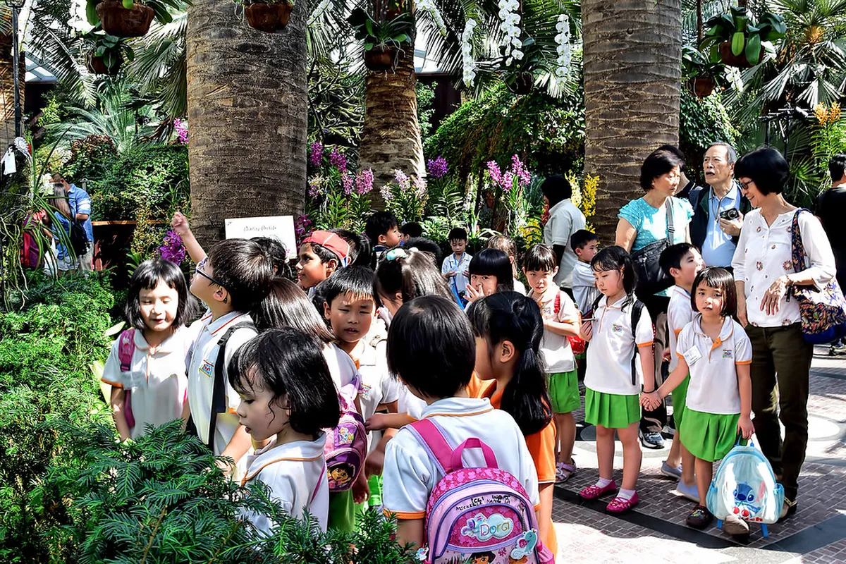 2026 Braga Travel Guide: Best Hotels, Events & Things to Do