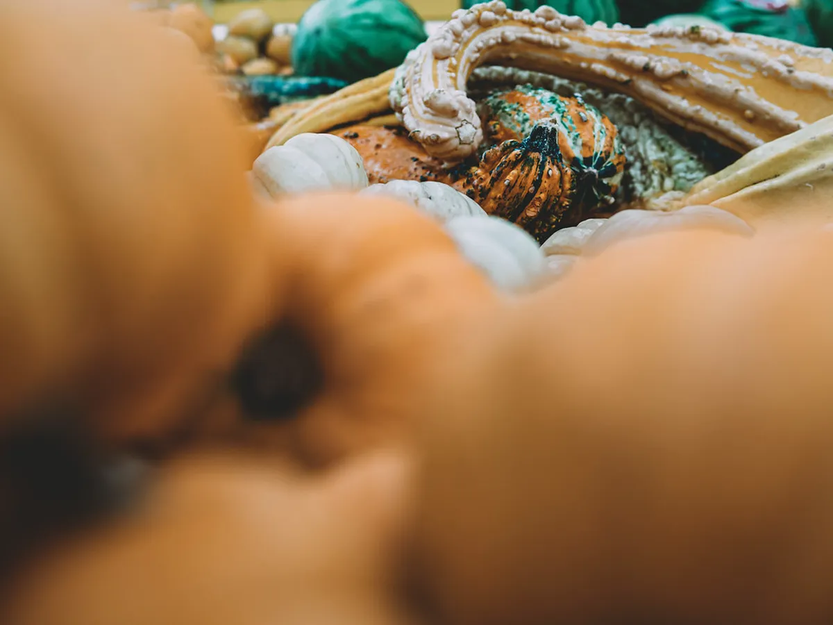 Shopping and Markets in Carvoeiro 2026 Guide