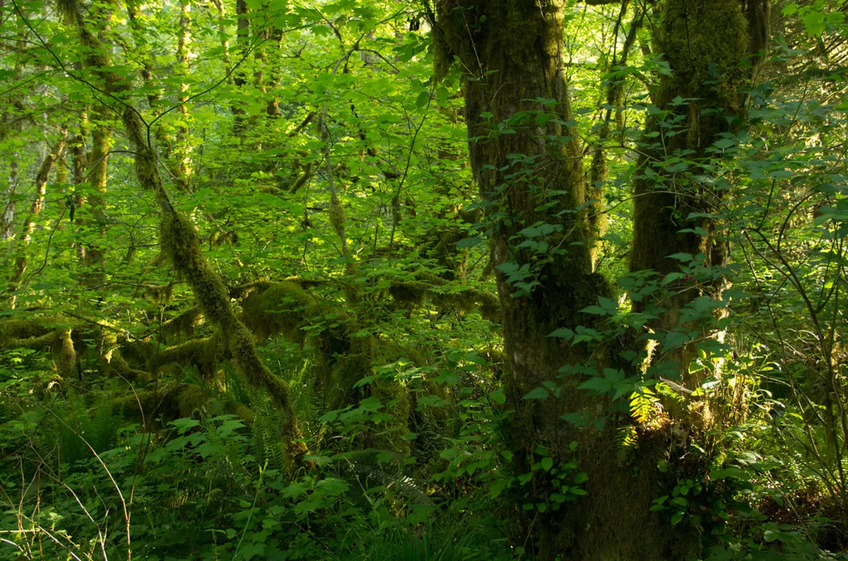 New Guided Nature Walks in Ericeira World Surfing Reserve