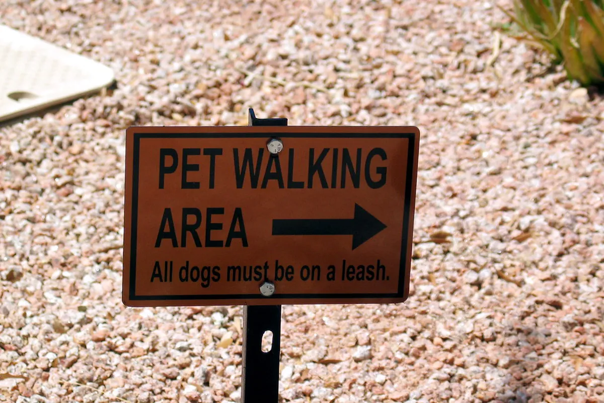 New Óbidos Walking Tour Routes: 2026 Guide