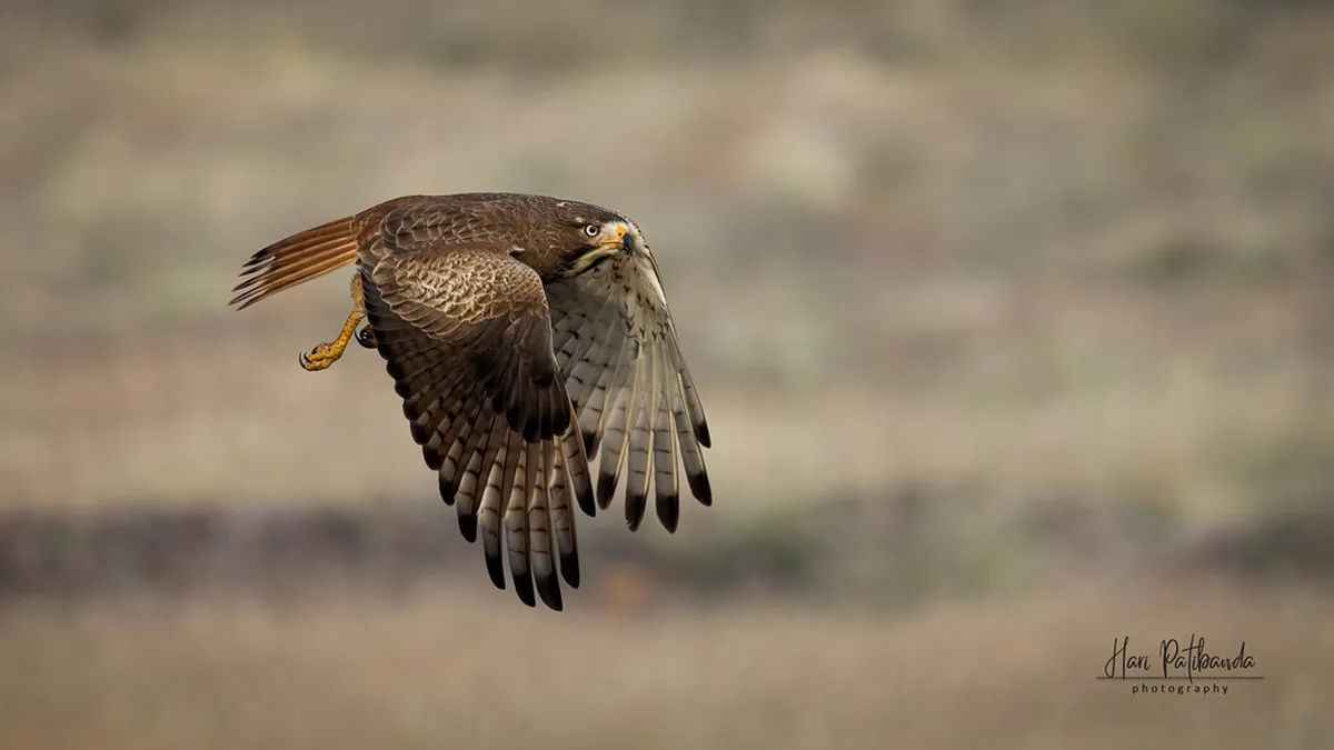 Peniche 2026: Ultimate Guide to Surfing, Dining & Berlengas