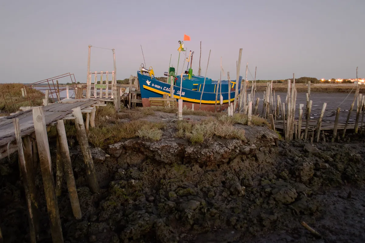 Traditional Setúbal Festivals to Attend in 2026