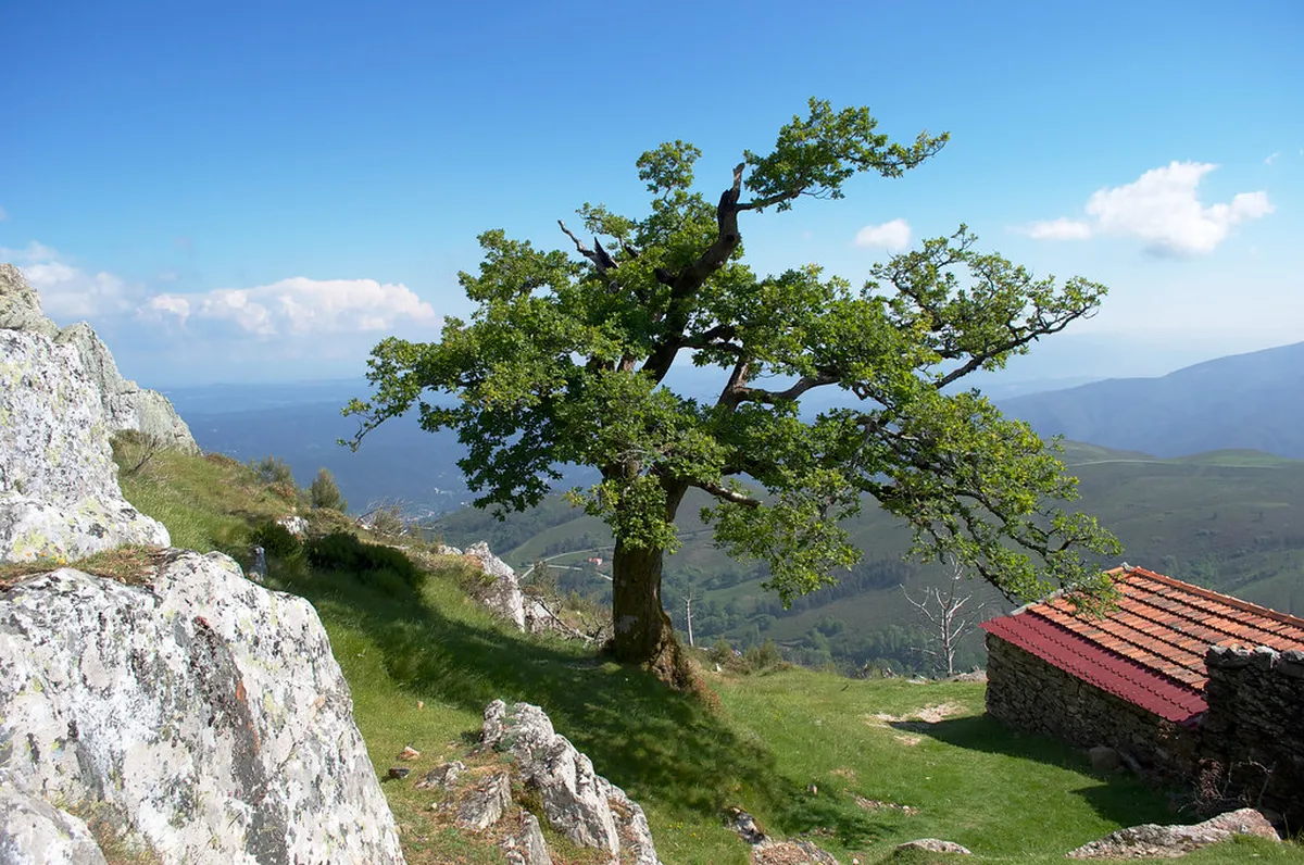 Best Viseu Photography Spots 2026