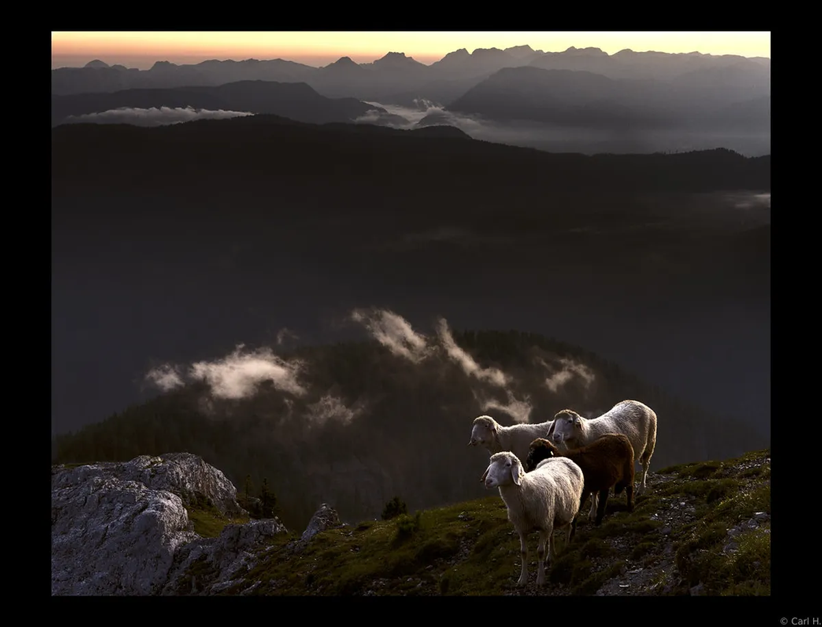 Sustainable Travel in Basel 2026: Eco-Friendly Tips