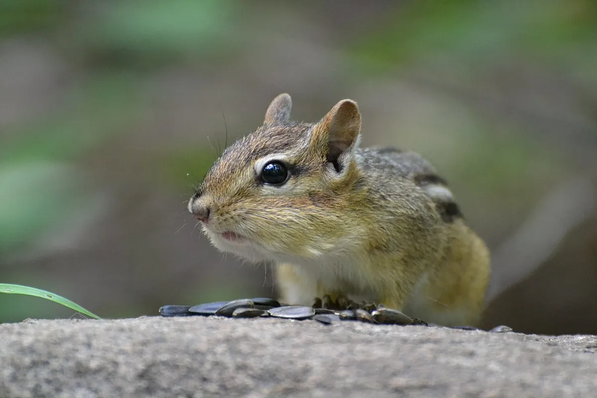 How to Visit Bündner Kunstmuseum in 2026