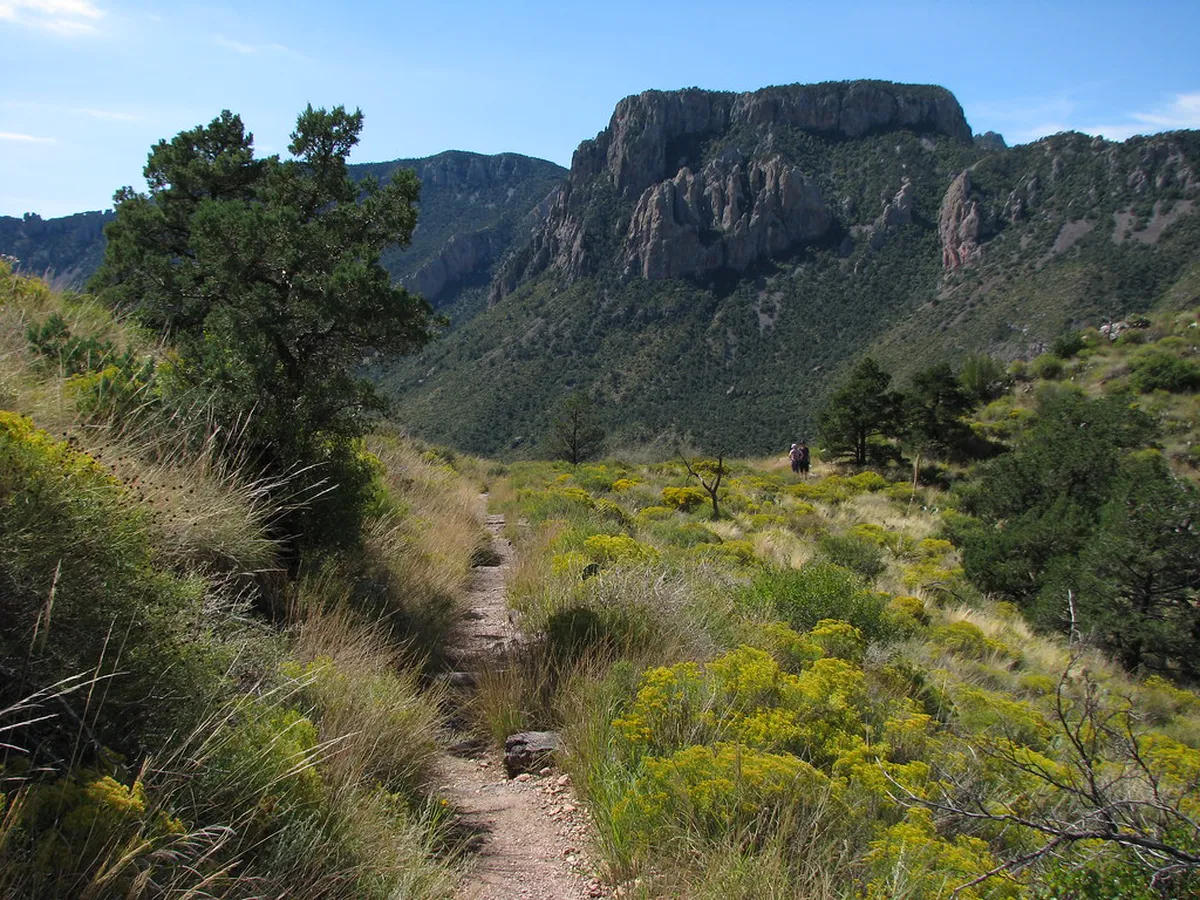 Best Beginner Hiking Trails in Grindelwald 2026