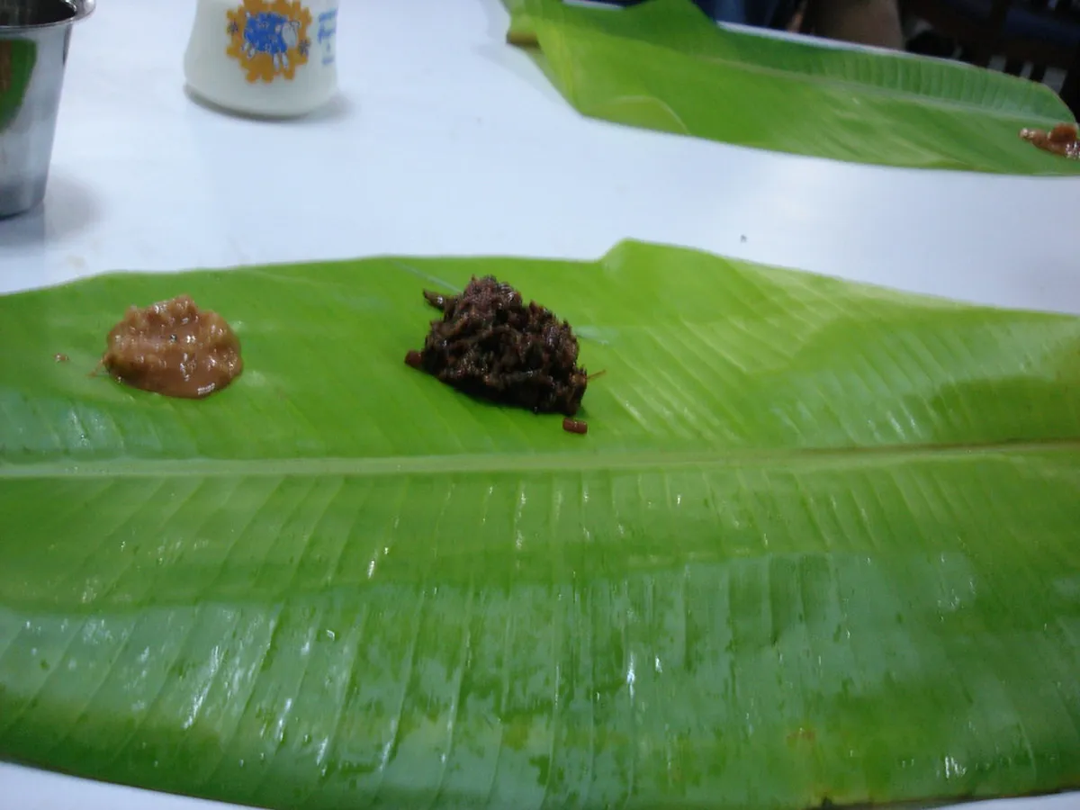 Cheap Eco-Friendly Accommodation in Lausanne 2026