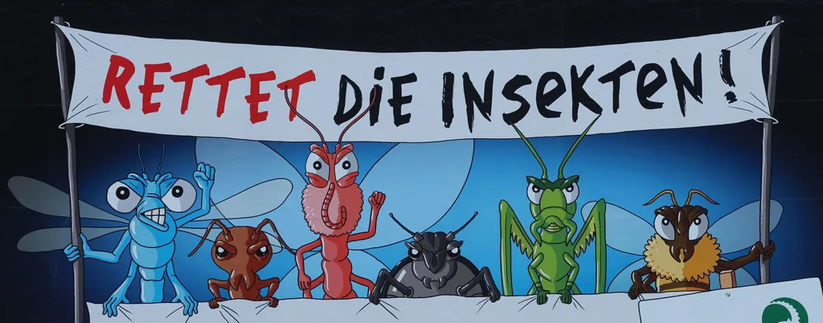 Lugano Sustainable Travel Tips 2026: Eco-Friendly Guide