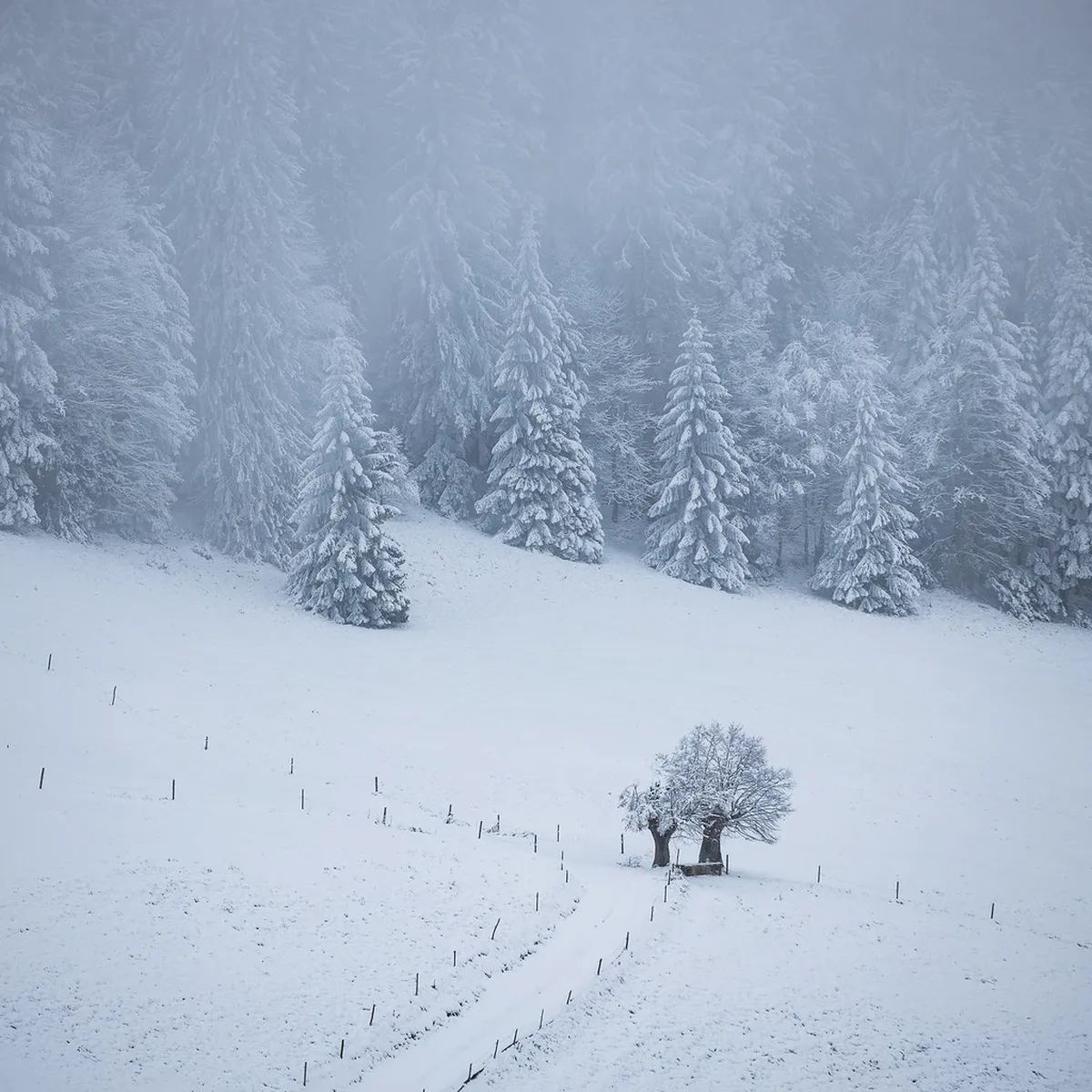 Best Spots Where to Find Swiss Fondue in Montreux