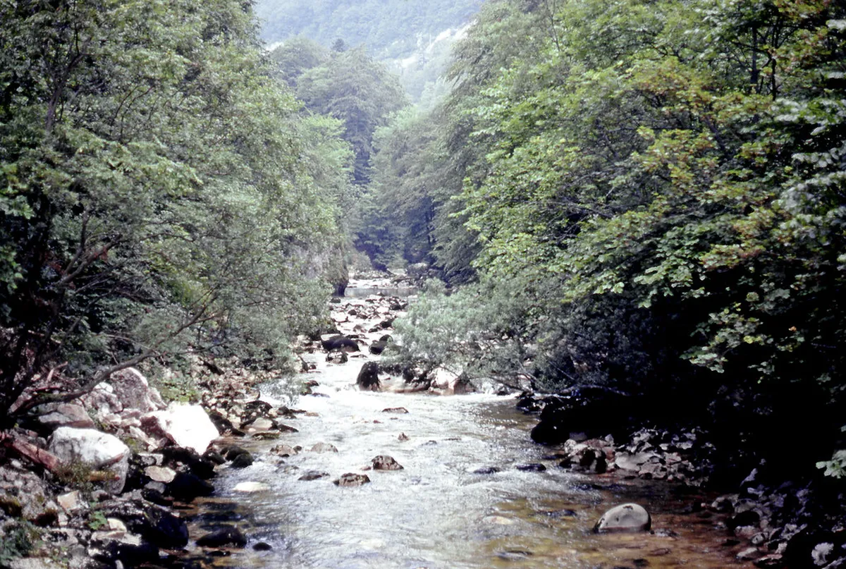 Gorges de l'Areuse Trail Conditions 2026 Guide