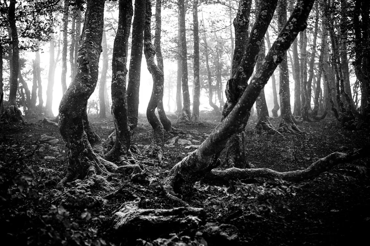 Neuchâtel Digital Nomad Guide: Work & Live in 2026