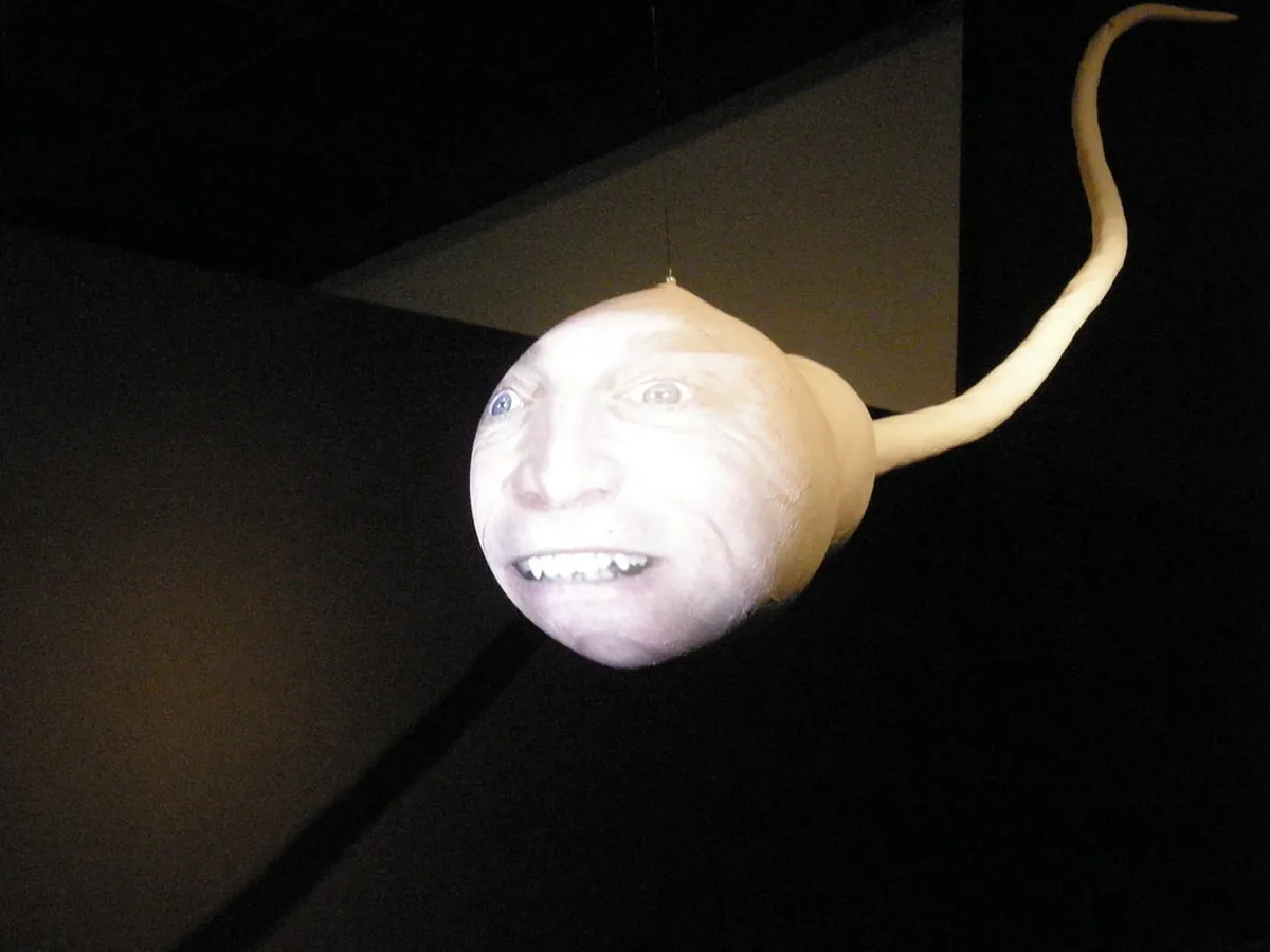 Best Neuchâtel Museum Exhibits 2026 Guide