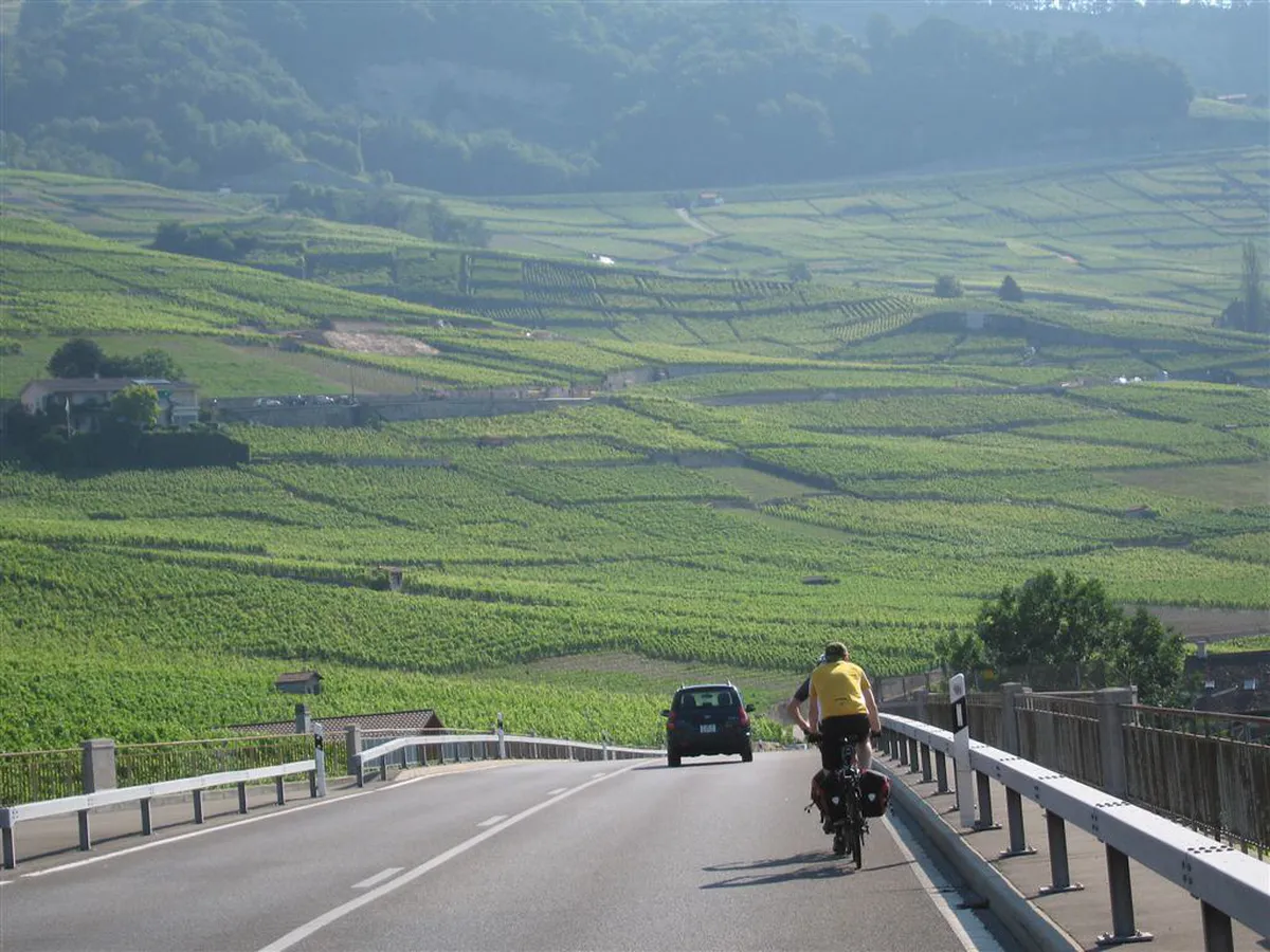 Best Lavaux Vineyard Tours from Vevey 2026