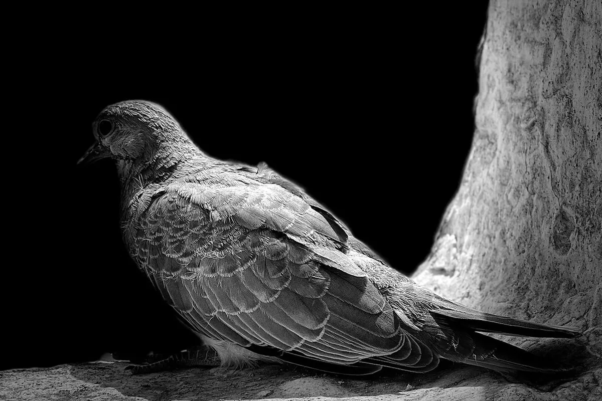 Best Value Zermatt Peak Pass for 2026 Comparison