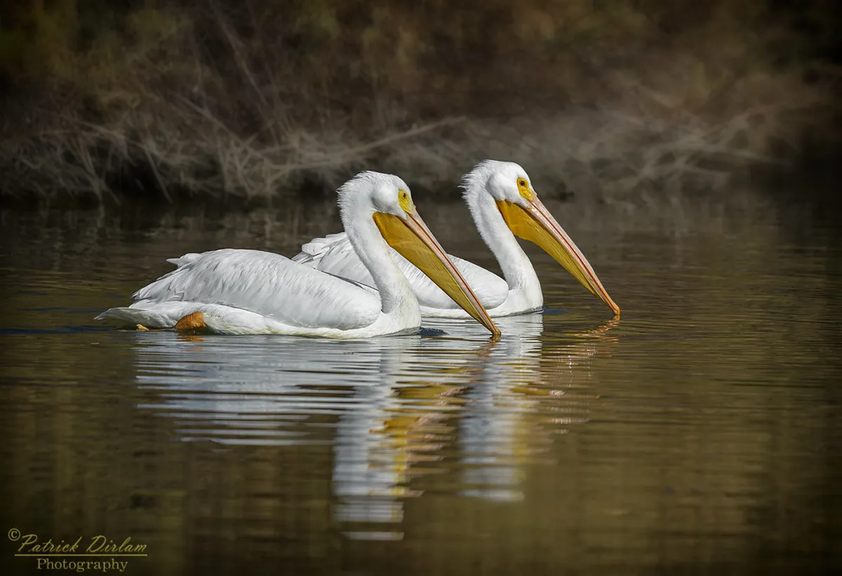 How to Sync Zermatt Passes With Phones