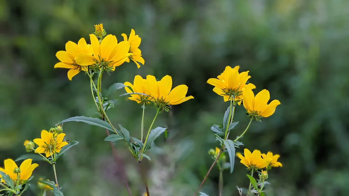 New Summer Activities in Zermatt 2026